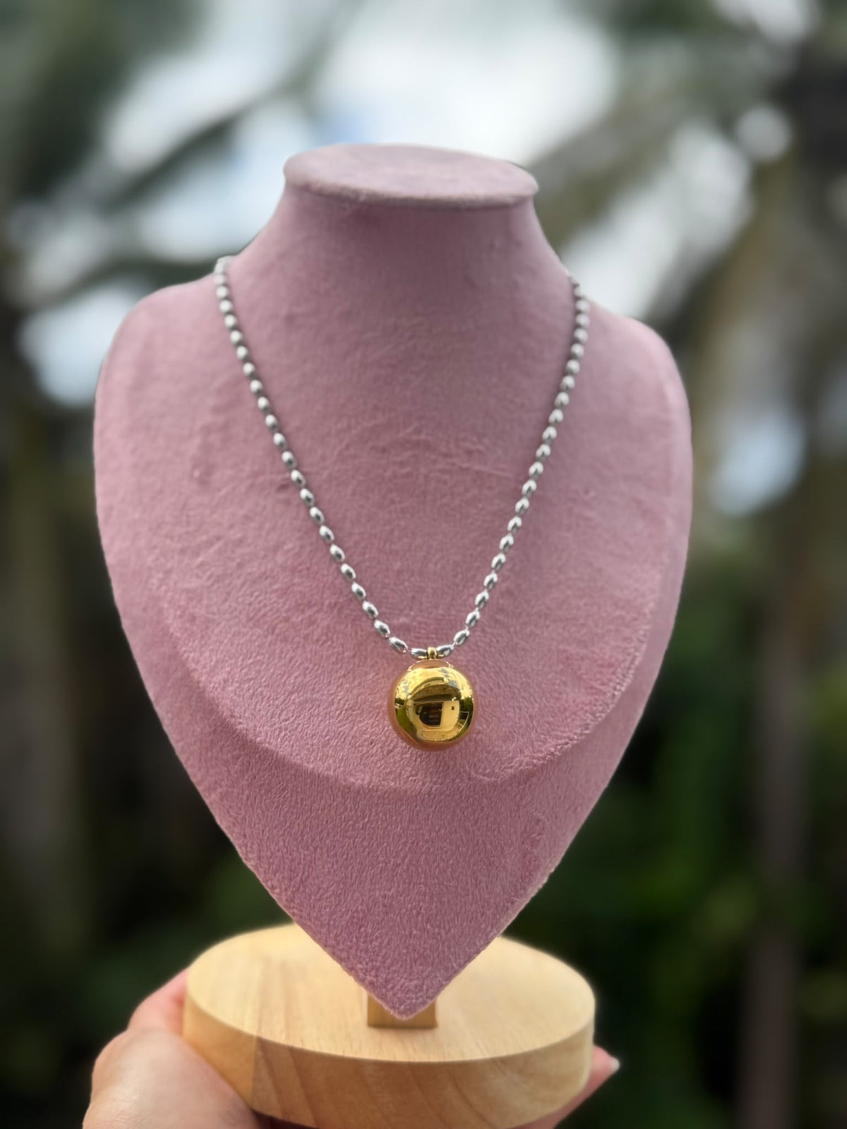 Collar Dos Tonos Ajustable Stainless Steel