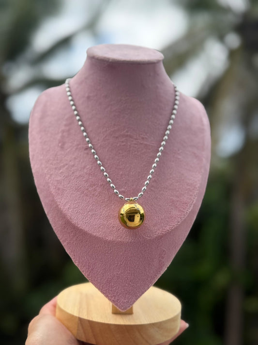 Collar Dos Tonos Ajustable Stainless Steel
